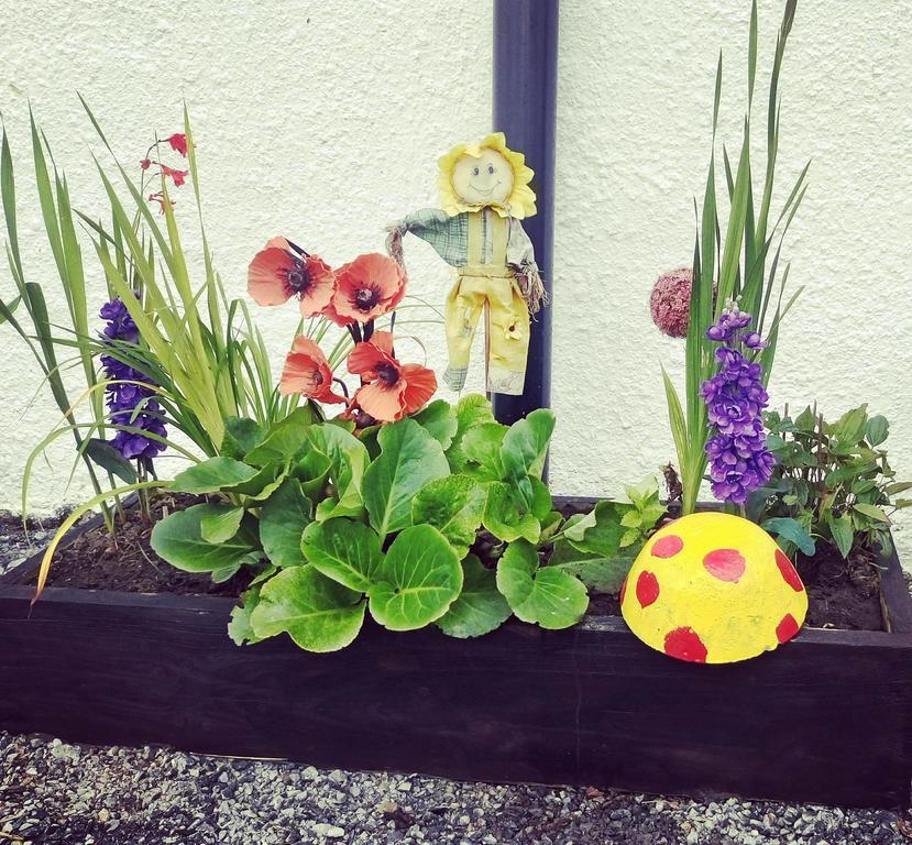 Galway Glamping Villa Tuam 외부 사진