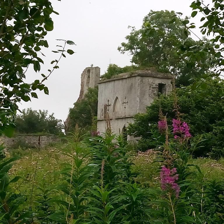 Galway Glamping Villa Tuam 외부 사진